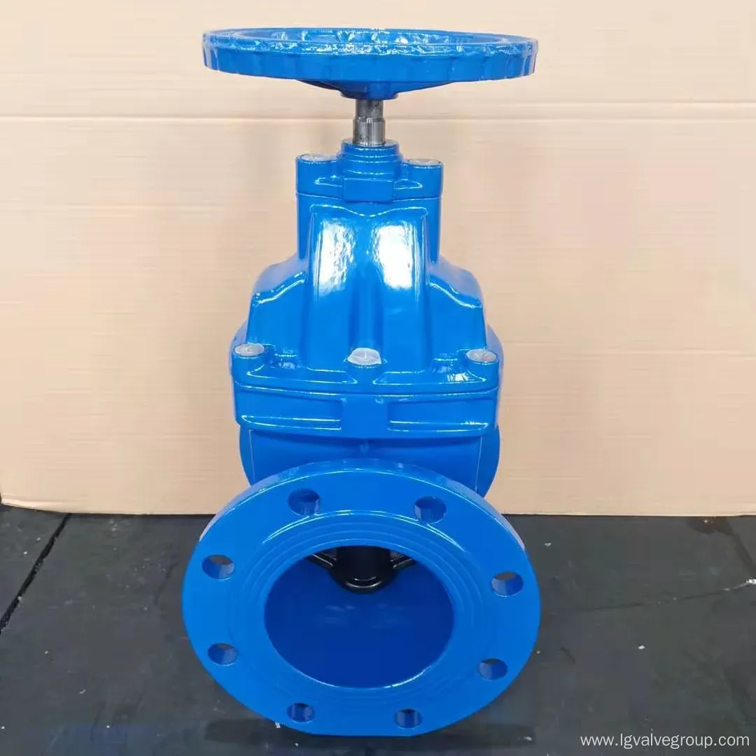 BS5163 Rubber Wedge Gate Valve