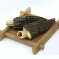 Büyük Kurutulmuş Kuzugöbeği Mantarı
