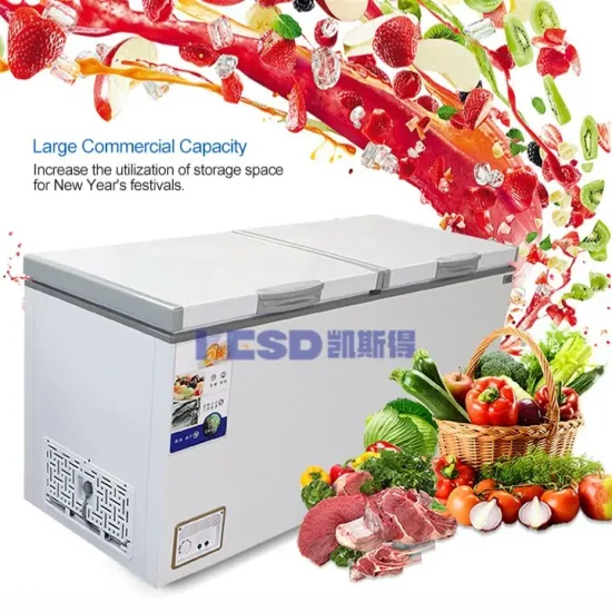 Commercial Double Door Horizontal Deep Chest Freezer