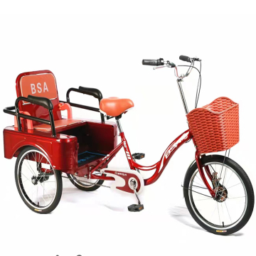 Adult Cargo Tricycles and Three-Wheel Tricycles for Sale