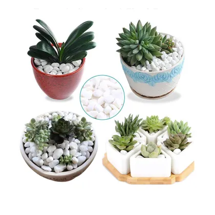 FIRST Stone: River Rock Crushed Stone, White Round Pebbles, Cobbles & Bulk Decorative Pebbles for Gardens and Patios