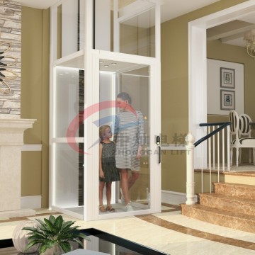 Small Home Elevator Residential