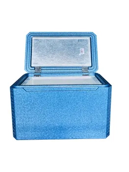 Expanded Polypropylene VIP Insulated Cool Ice Box