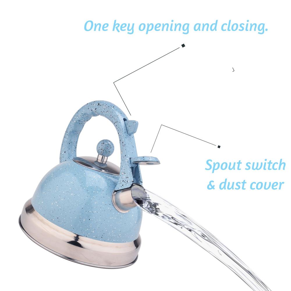 Sky Blue Stainless Steel Tea Kettle