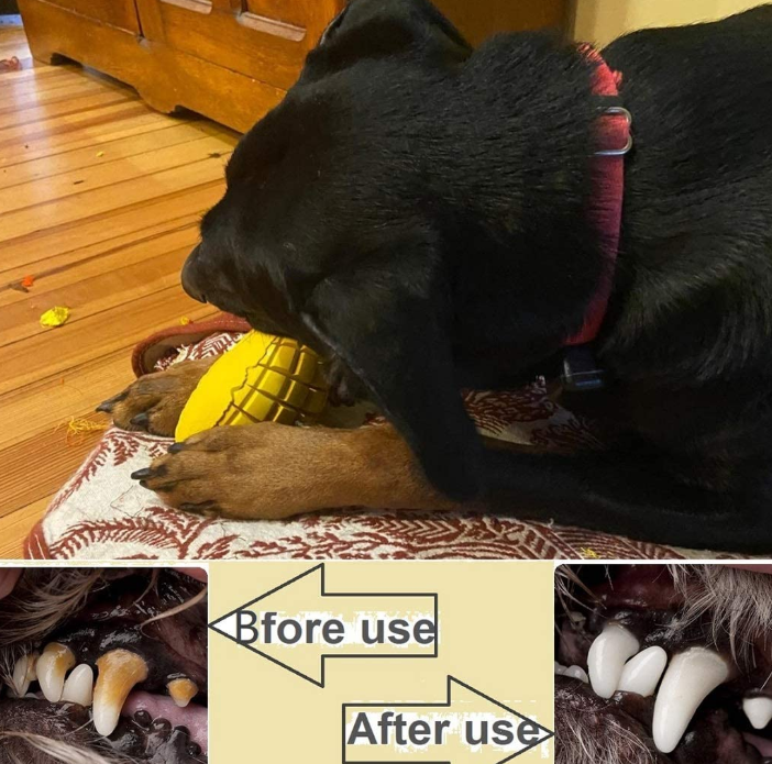 Dog Chew Toys for Aggressive Dogs