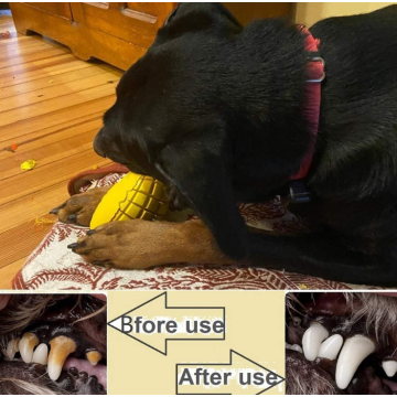 Dog Chew Toys for Aggressive Dogs