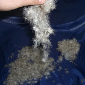 90% Washed, White Gray, Duck Down Feathers