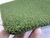 putting green Golf grass
