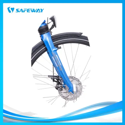 Fashionable lithium battery electric bike city bike