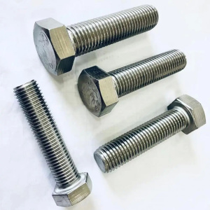 SS304/316 Cheap and durable hex head bolt