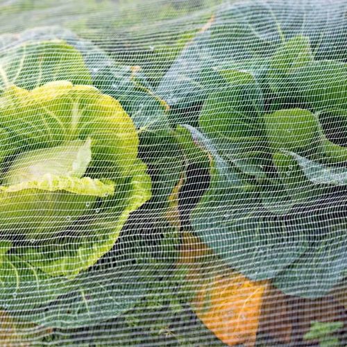 Agricultural insect control net