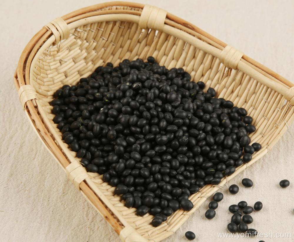 Black Beans 25KG