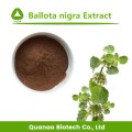 Ballota Nigra-Extrakt / schwarzes Horehund-Extraktpulver