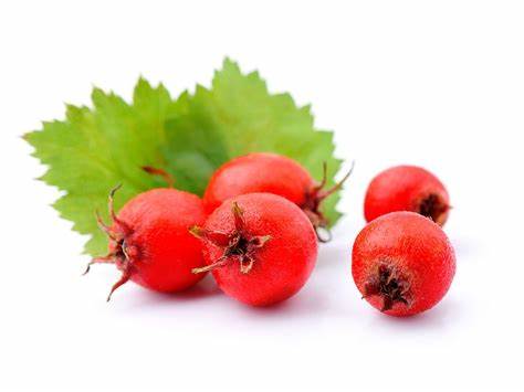 Natural Hawthorn Berry Fruit Powder