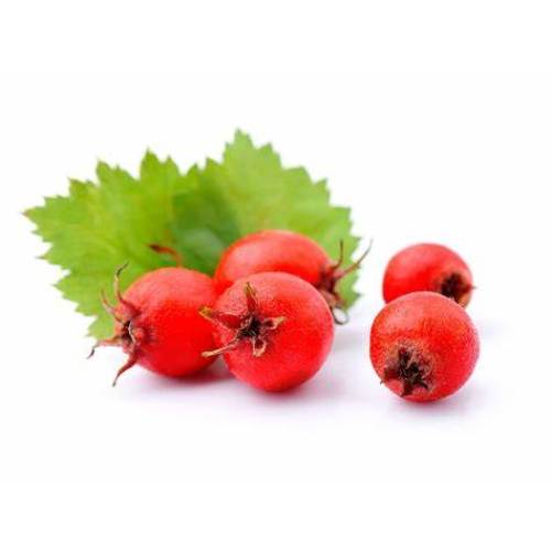 Natural Hawthorn Berry Fruit Powder
