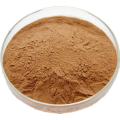 Giant Knotweed Rhizome Extract Powder Price