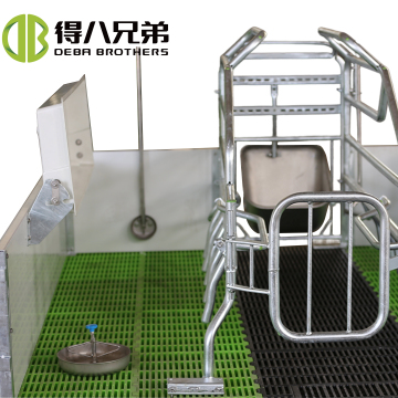 Hot Sale Galvanized Steel Farrowing Crates and Swine Stalls for Pig Farming