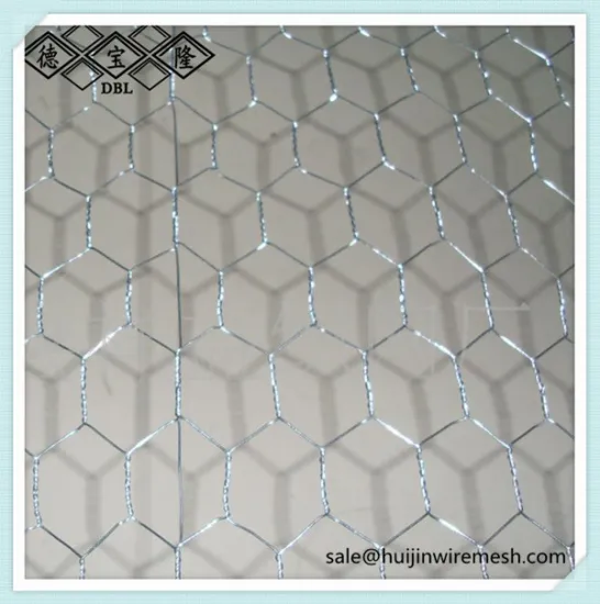 stainless steel wire,chicken wire cage, hexagonal wire mesh