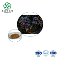 Glossy Privet Fruit Extract - Bulk 10:1 for Immune & Kidney Support Supplements
