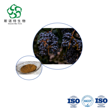Glossy Privet Fruit Extract - Bulk 10:1 for Immune & Kidney Support Supplements