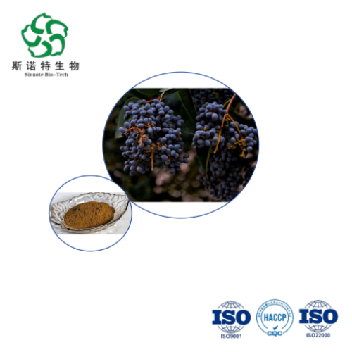 Glossy Privet Fruit Extract - Bulk 10:1 for Immune & Kidney Support Supplements