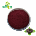 Mulberry Fruit Extract Anthocyanins