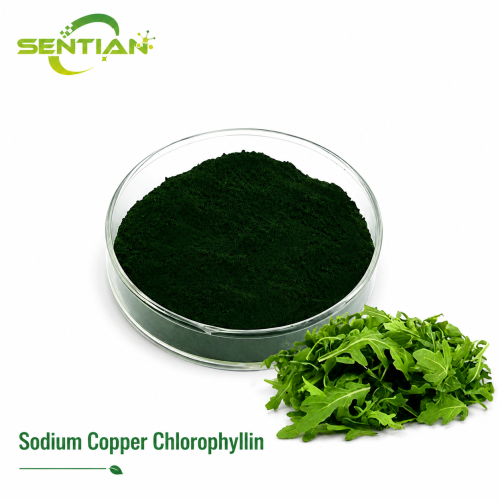 Premium Sodium Copper Chlorophyllin from Botanical Sources