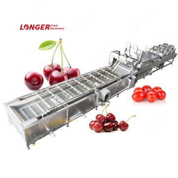 Factory Price Cherry Tomatoes Washing Machine for Cleaning Lines