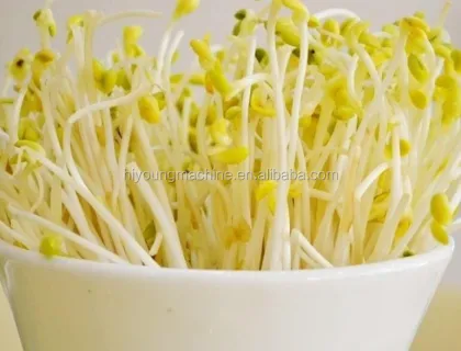 Mung Bean Sprouts Making Machine & Hydroponic Seed Sprouting Equipment