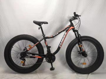 Fat Bike Beach Cruiser