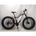 Fat Bike Beach Cruiser