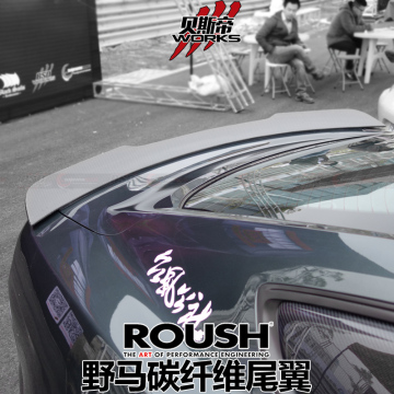 2014-2016 Mustang Roush Stile di carbonio Spoiler