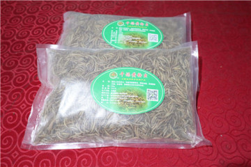 Reptile Food Dried Mealworm