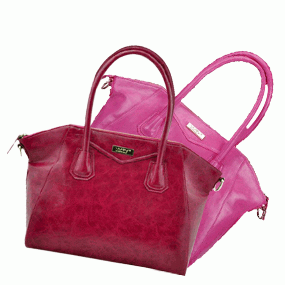 Ladies Handbag Ladies Handbag
