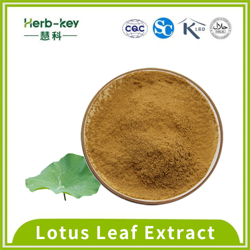 Lotus Leaf Alkali Bebida sólida Polvo de hoja de loto