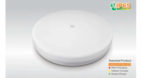 Round LED emergency ceiling luminaire