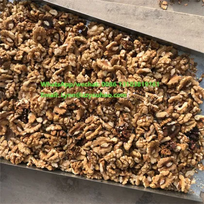 Whole Walnut Processing Machine: An Automatic Solution for Dehusking and Cracking Black Walnuts