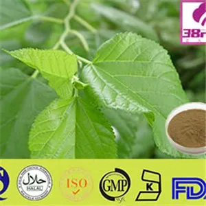 Mulberry Leaf Extract