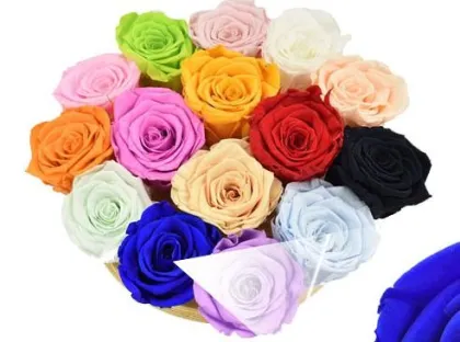 2022 New Product Ideas: Preserved Eternal Flower Rose Heads for Girlfriend