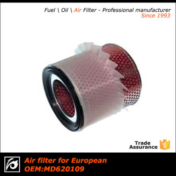 automobile air filter & automobile spare parts & automobile accessories