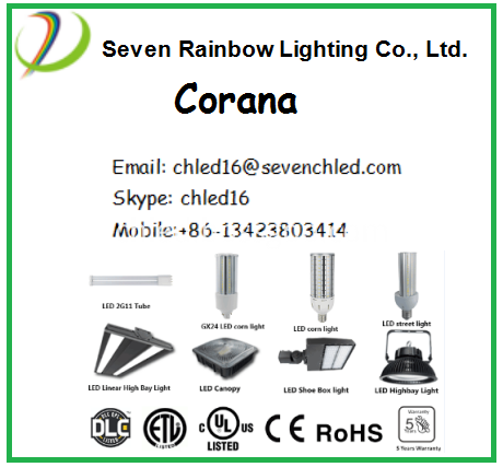 6W PL led lamp G24