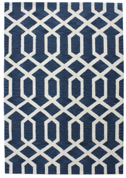 Hand Hooked with fantastic Design Carpet