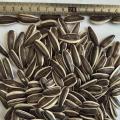 Wholesale Top Quality Sunflower Seeds