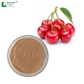Acerola fruit extract acerola cherry extract