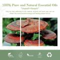 High Grade Pure Plant Ganoderma Essential Oil For Anti-Aging
