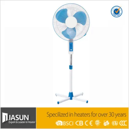 Ceiling Fan with Light