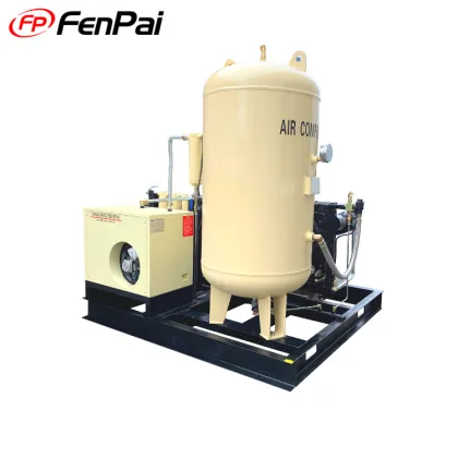30 Bar 30 HP Air Compressor for Laser Machines