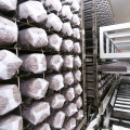 Τσάντες μανιταριών Shiitake κιτ ανάπτυξης