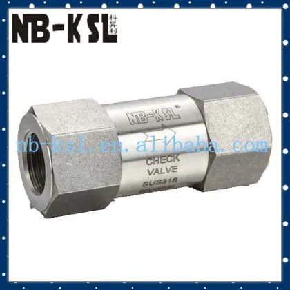 ss instrument check valve