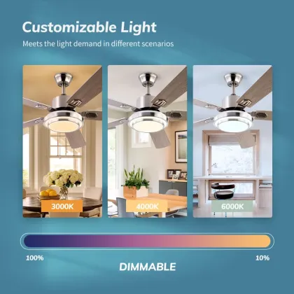 Modern Led Ceiling Fan with Light